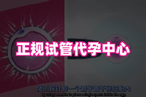 长沙助孕网站 2